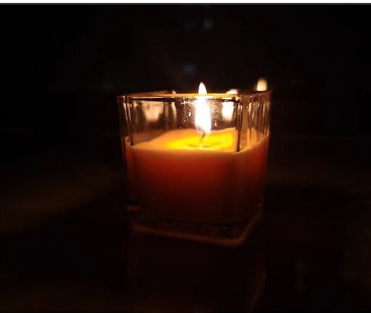 Lumânare Aromatică din Soia în Borcan cu Miros de Afine 170gr