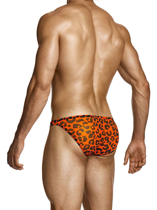 Modus Vivendi Modus Vivendi