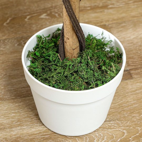 Outsunny Artificial Camellia Plant 21 Flowers Pot Filled Cement Moss Ø18x90 cm Orange 844-340v01og
