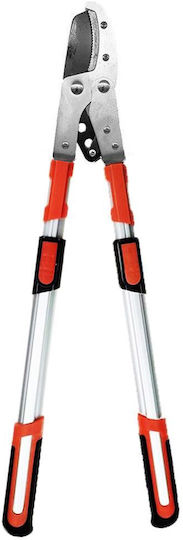 Cresman JH-3101TW Diverse Gartengeräte Zubehör Paste für Rüsselscheren