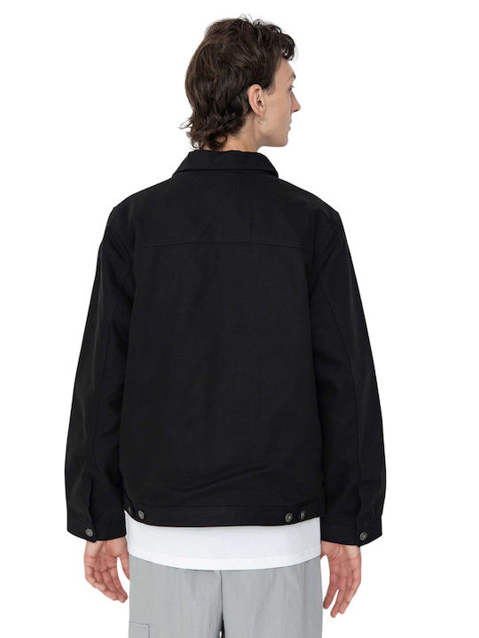 Dickies Dickies