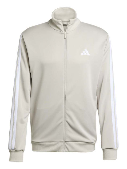 M 3s Trainingsanzug Glänzend mit Gummizug Beige