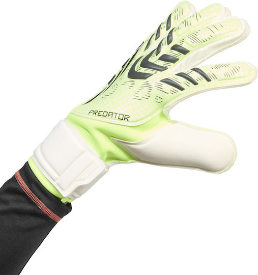 adidas Predator Gl Mtc Torwarthandschuhe Erwachsene Grün