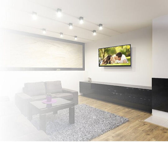 GoGEN 32"-55" Wall TV Mount up to 55" and 40kg