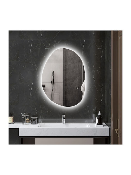 HomCom Badezimmerspiegel LED Berührung aus Kunststoff 50x70cm Silber