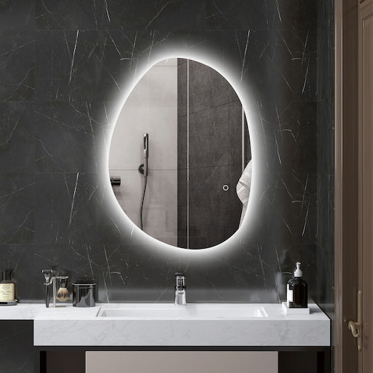 HomCom Badezimmerspiegel LED Berührung aus Kunststoff 50x70cm Silber