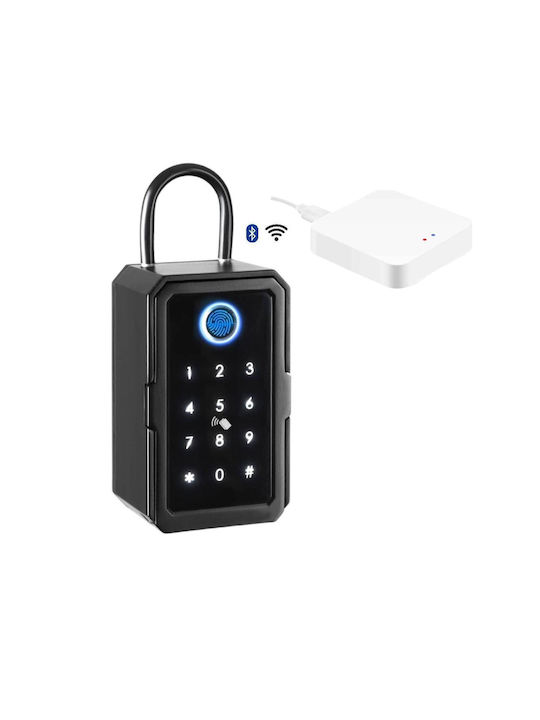 Secukey Smart Combination Key Holder with Horseshoe Metallic and Keyboard