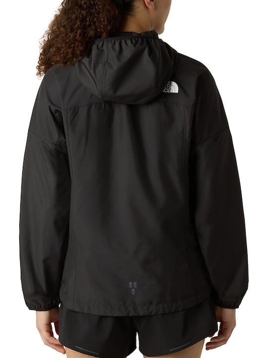 The North Face The North Face
