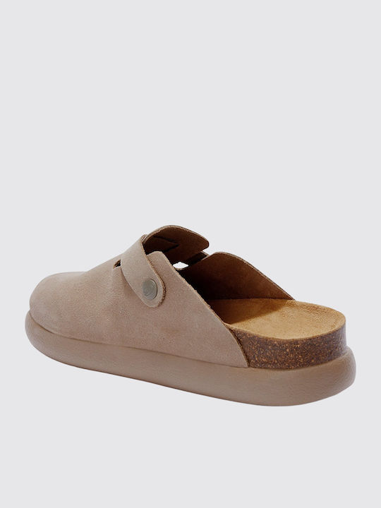 Scholl