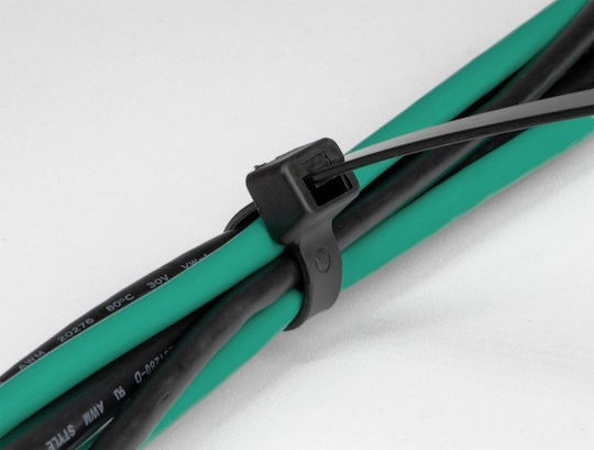 DeLock Plastic Cable Ties x9mm in Black Colour (10 pcs) 19564