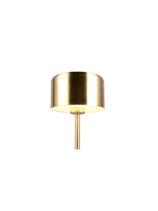 Trio Lighting Metal Lampă de masă LED cu Abajur Auriu și Bază