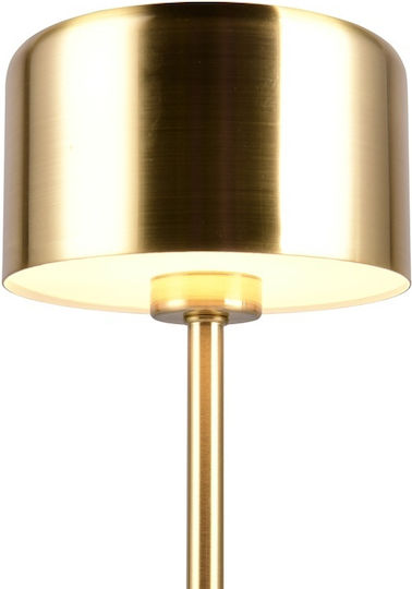 Trio Lighting Metal Lampă de masă LED cu Abajur Auriu și Bază