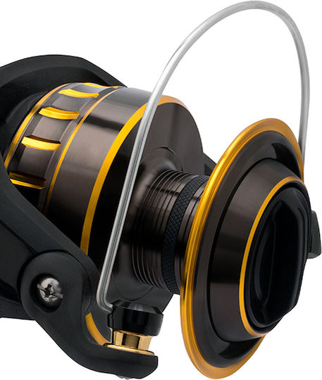 Daiwa Bg Hd Fischrolle