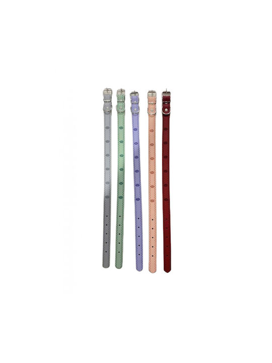 Hundehalsband 20mm x 46cm 12 Stück Verschiedene Farben Hundehalsband 20mm x 46cm 12 Stück Verschiedene Farben