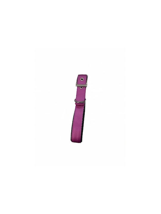Pet Camelot 4561 Hundehalsband in Gray Farbe 25mm x 50cm