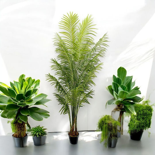 Künstliche Areca-Palme im Topf 220 cm