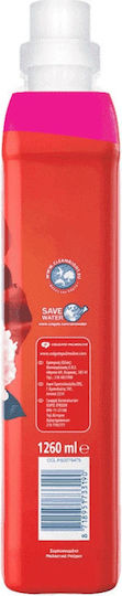 Soupline Fabric Softener Condensed Rose Peony 60 Washes 1.26L