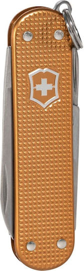 Victorinox Classic SD Multitool Bej 0 62