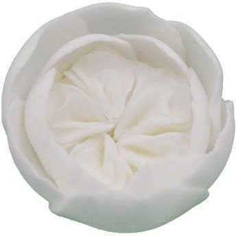 Austin Rose Edible Decorative Flower 6cm Non Edible In EU