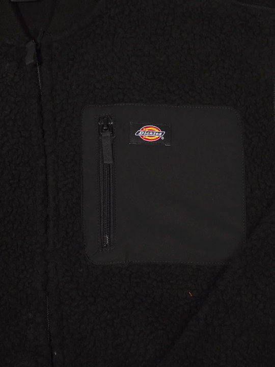 Dickies Dickies