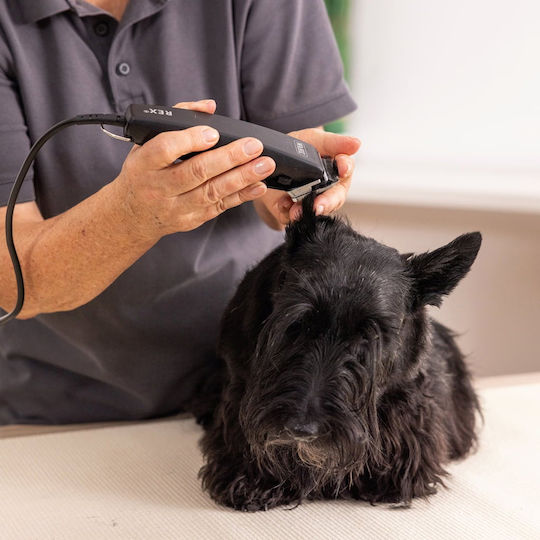 Wahl Professional Dog Grooming Clippers Power
