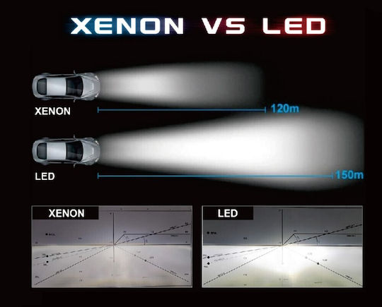LED Bulbs D8S Canbus Set New Homologation 20000lm