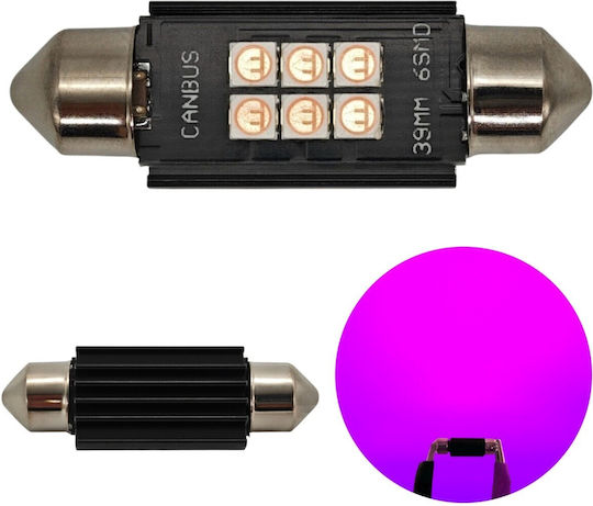 C5W C10W LED Bulb SV8.5 12-24V Canbus 39mm Pink