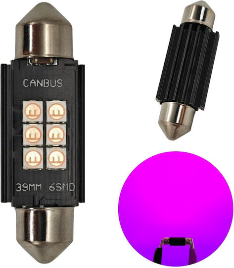 C5W C10W LED Bulb SV8.5 12-24V Canbus 39mm Pink