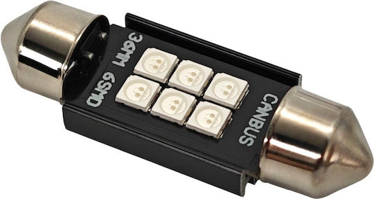 C5w LED Autolampe Sv8.5 12-24V Canbus 36mm Grüne