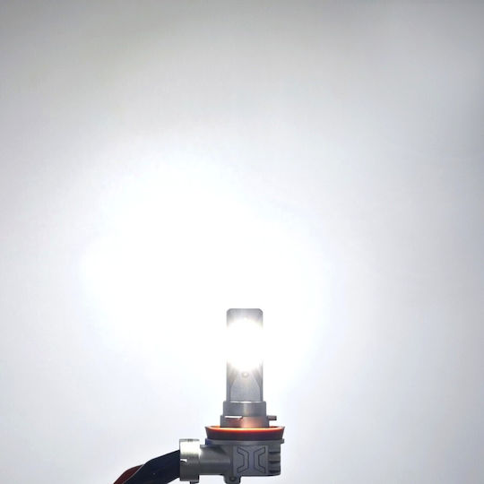 Led Bulb H9 12-24v Canbus Csp White Strong 2 Pcs New