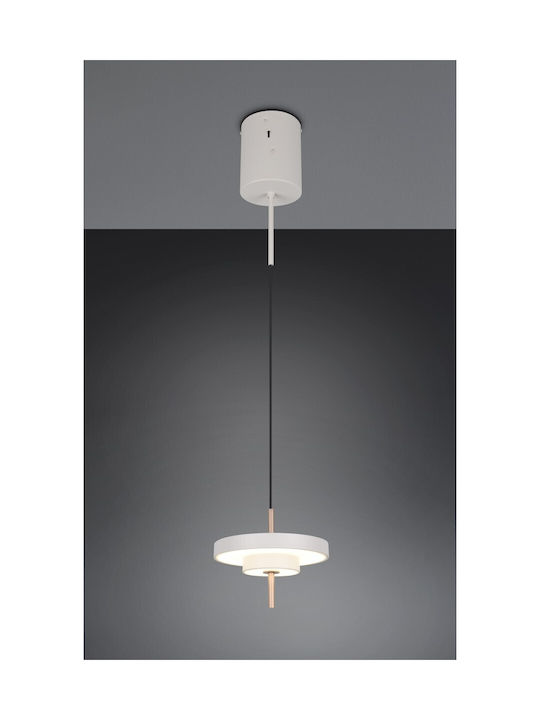 Trio Lighting Keaton Hängelampe Gray