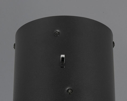 Trio Lighting Keaton Pendant Light Black