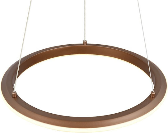 Trio Lighting Amador Pendant Light Brown