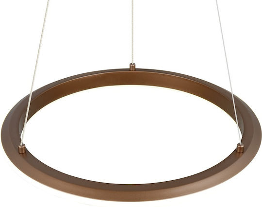 Trio Lighting Amador Pendant Light Brown
