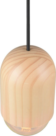 Trio Lighting Pendant Light