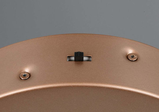 Trio Lighting Amador Pendant Light Brown