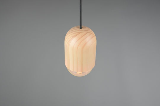 Trio Lighting Pendant Light