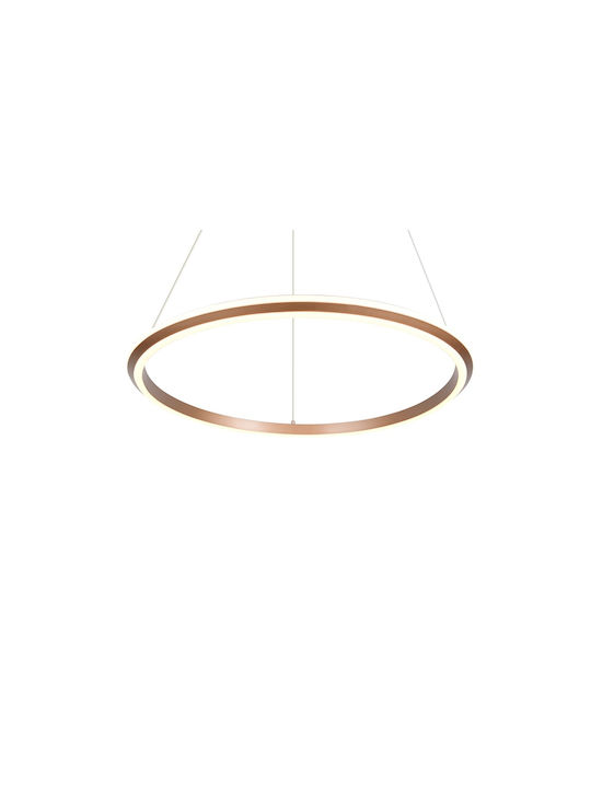 Trio Lighting Amador Κρεμαστό Φωτιστικό Καφέ