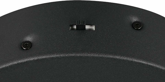 Trio Lighting Amador Pendant Light Black