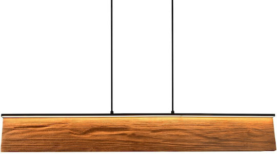 Trio Lighting Kalea Pendant Light