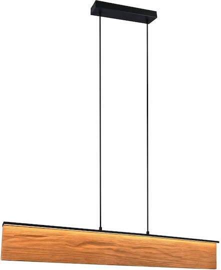 Trio Lighting Kalea Pendant Light