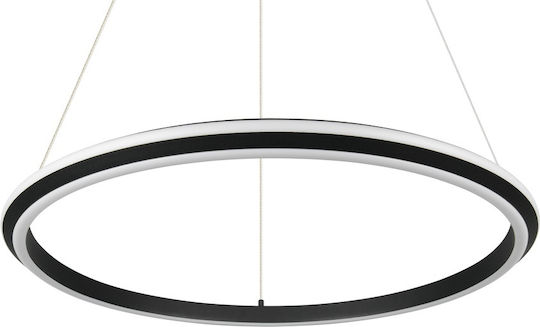 Trio Lighting Amador Pendant Light Black