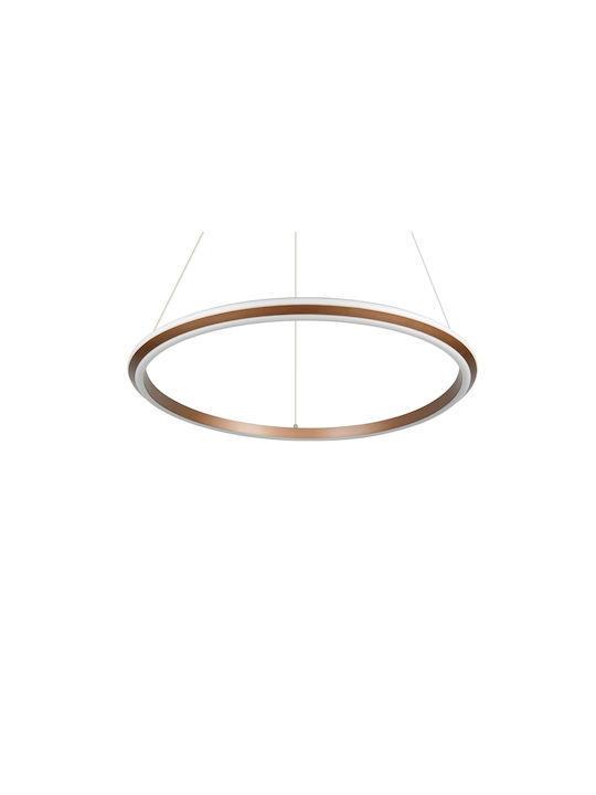 Trio Lighting Amador Κρεμαστό Φωτιστικό Καφέ