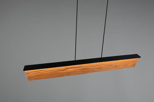 Trio Lighting Kalea Pendant Light