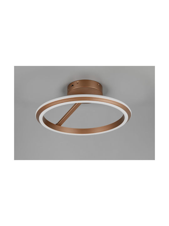Trio Lighting Amador Таванно осветление Кафяв