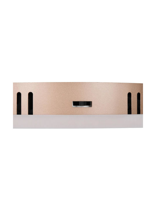 Trio Lighting Πλαφονιέρα Οροφής Καφέ