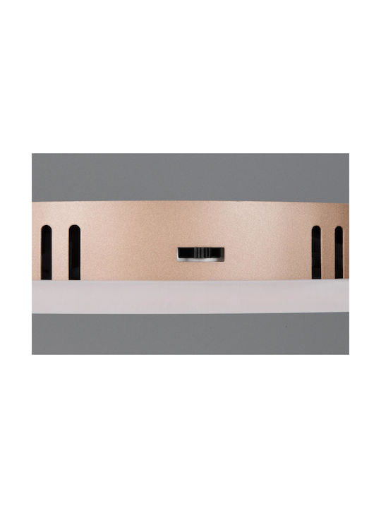 Trio Lighting Πλαφονιέρα Οροφής Καφέ