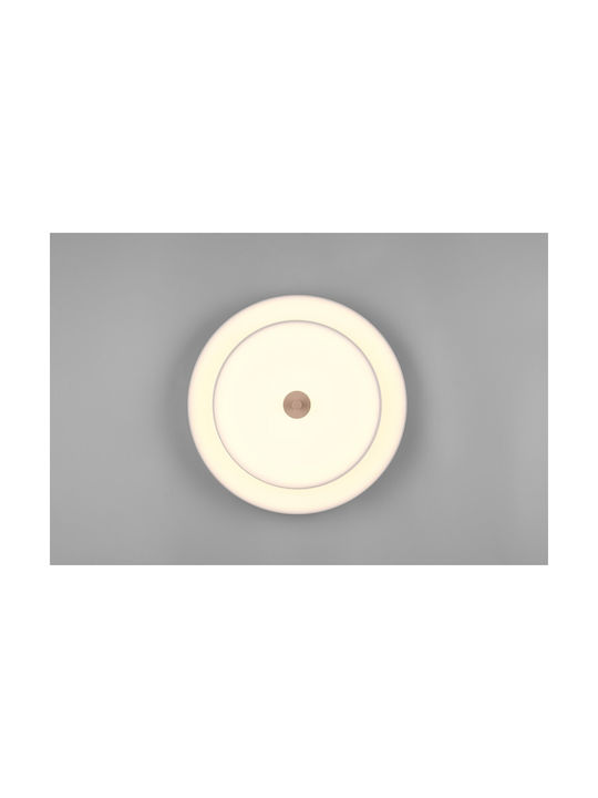 Trio Lighting Keaton Deckenleuchte Gray