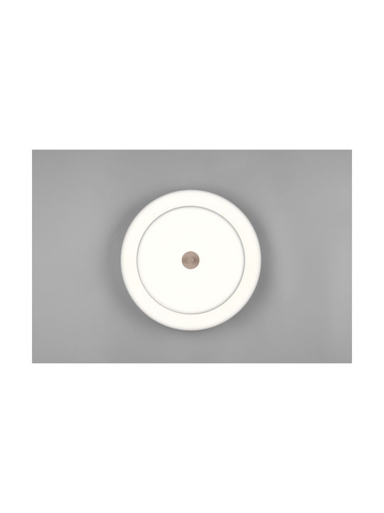 Trio Lighting Keaton Deckenleuchte Gray
