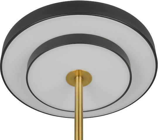 Trio Lighting Keaton Dekorative Lampe Schwarz
